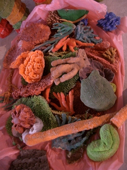 �����õ�ɺ����Ʒ